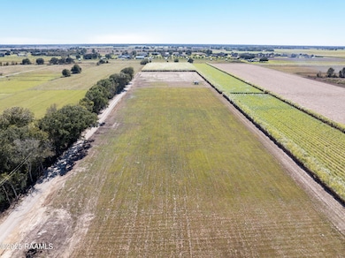 5040 Granny Rd, Maurice, LA 70555 - photo 2