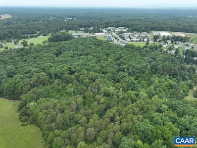 TBD Martin Ln, Palmyra, VA 22963 - photo 4