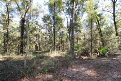 65 Simmie Dr, Crawfordville, FL 32327 - photo 3