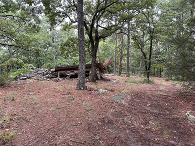 123 Sherman Rd, Moyers, OK 74523 - photo 7