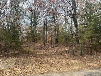 Pine Lake Dr, Batesville, MS 38606 - photo 6