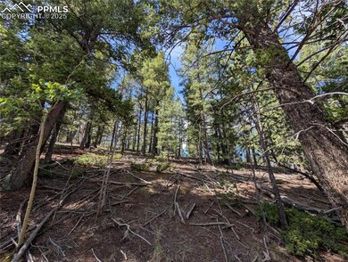 60 Fluorite Ln, Midland, CO 80814 - photo 7