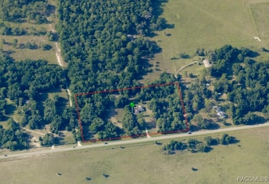 3839 W Horace Allen St, Lecanto, FL 34461 - photo 4