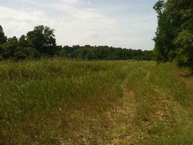 Additional View