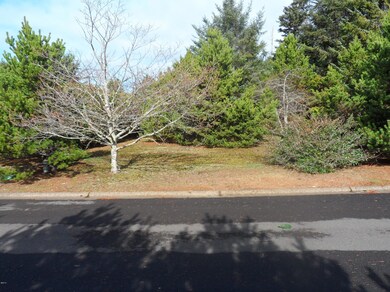 partially developed lot