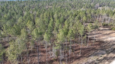 014 County Road 175, Piedmont, AL 36272 - photo 4