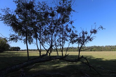 6514 Newton Hwy, Colquitt, GA 39837 - photo 7