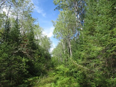 000 Sutherland Rd, Mason, WI 54856 - photo 6