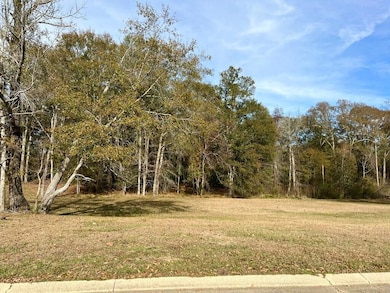 4 & 6 Joshbury Cir, Laurel, MS 39443 - photo 3