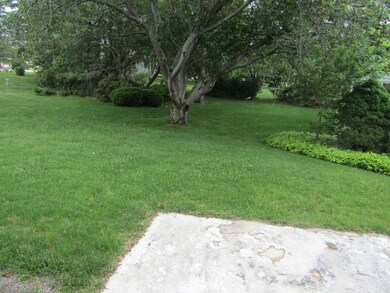 Exterior Yard
