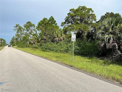 3002 16th St W, Lehigh Acres, FL 33971 - photo 3