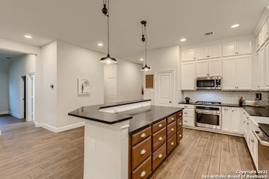 12303 Twister Ln, San Antonio, TX 78254 - photo 5