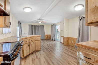 853 S Evangeline Ave, Mesa, AZ 85208 - photo 2