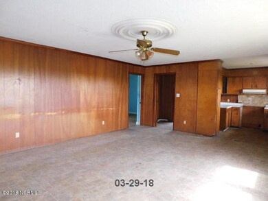 510 Johnston Hwy, Newton Grove, NC 28366 - photo 3