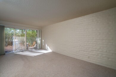 Living Space Shot 1