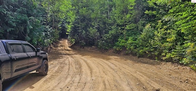 NNA Juniper Lane 20 Acres, Naples, ID 83847 - photo 4