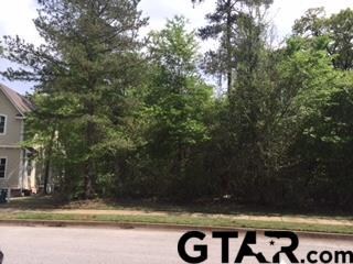 4025 Charleston Park, Tyler, TX 75701 - photo 3
