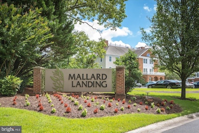 1103 S Schumaker Dr unit C107, Salisbury, MD 21804 - photo 3