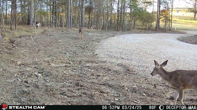 1028 Red Wings Rd, Bismarck, AR 71929 - photo 5