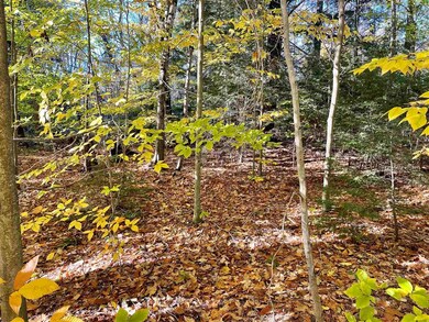 0 Emerald unit Map 16 Lot 169, Hillsborough, NH 03244 - photo 2