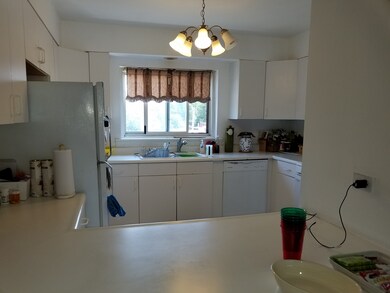 7209 Division St unit A3, River Forest, IL 60305 - photo 3