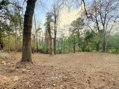 View to back
