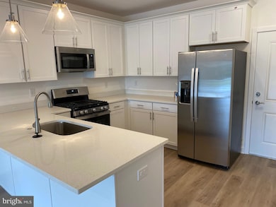 33530 Old Salt Ln unit 1209, Lewes, DE 19958 - photo 4