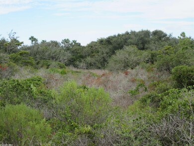 Lot View