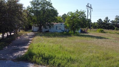 17550 Shady Ranch Ct, Hockley, TX 77447 - photo 2
