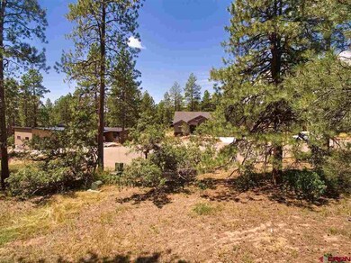 0 Engine Creek Ct unit 769146, Durango, CO 81301 - photo 5