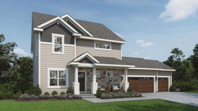 The Mulberry-Lot 370