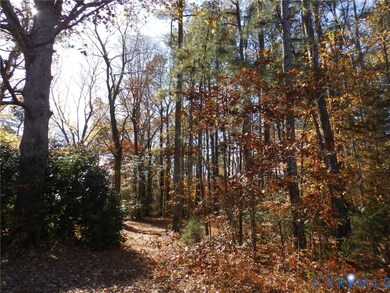 0 Edgar Ln unit 2532108, Elberon, VA 23846 - photo 3