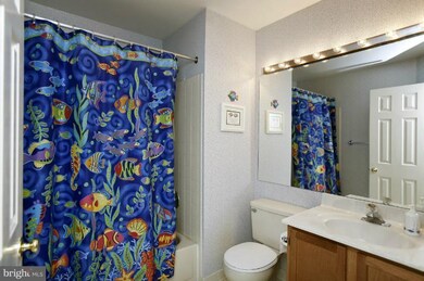 3635 Beech Down Dr, Chantilly, VA 20151 - photo 7