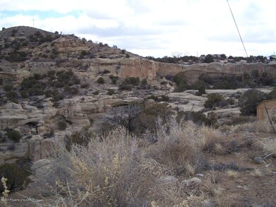 37 Road 39431, Farmington, NM 87401 - photo 4