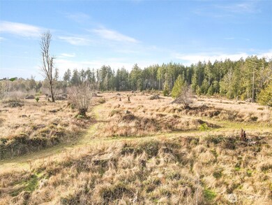 0 X Gravelly Beach Loop NW, Olympia, WA 98502 - photo 4