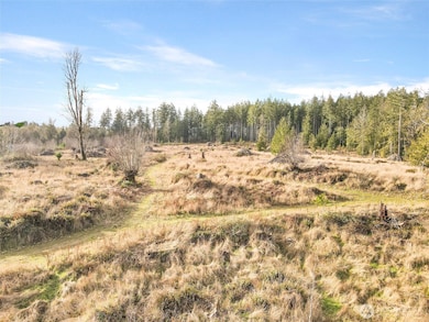 0 XXXX Gravelly Beach Loop NW, Olympia, WA 98502 - photo 4