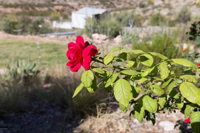 unlisted-address, Cornville, AZ 86325 - photo 4