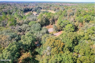 1873 Adolph Whitaker Rd, Bonifay, FL 32425 - photo 7