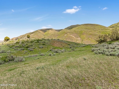 9724 S Old Us Highway 189, Heber City, UT 84032 - photo 3