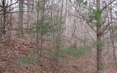 Additional View