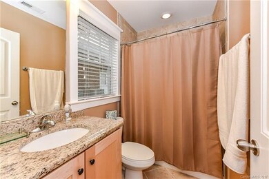 Lower Level Master Bathroom