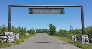 Whispering Pines Photo
