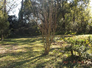 6502 Barmer Dr S, Jacksonville, FL 32210 - photo 3