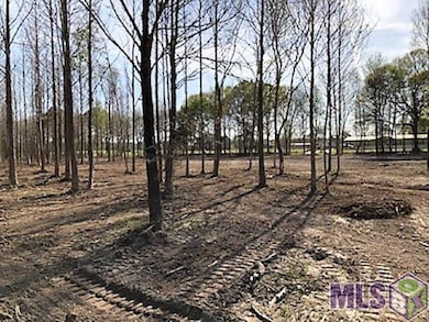 1711 Midway Rd, Slaughter, LA 70777 - photo 3