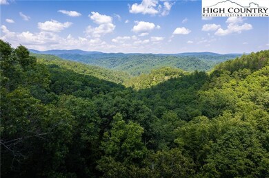 55 Reynolds Pkwy, Ferguson, NC 28624 - photo 2