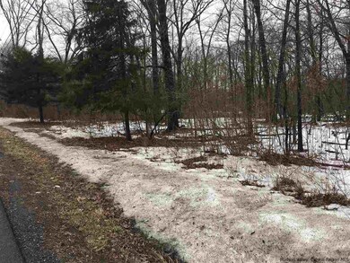 715 Broadway, Ulster Park, NY 12487 - photo 4