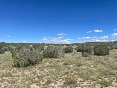 2272 W Critter Pass Photo 11