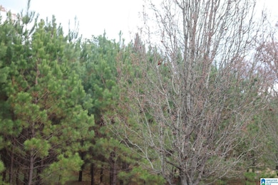 3170 Crest Oval Mtn Rd unit 27 & 28, Bessemer, AL 35023 - photo 2