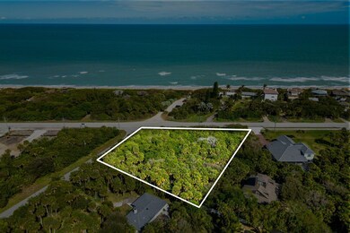3-web-or-mls-DJI_0243-Lot Lines