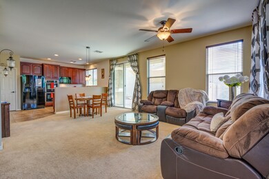 163 West Paseo Celestial_6